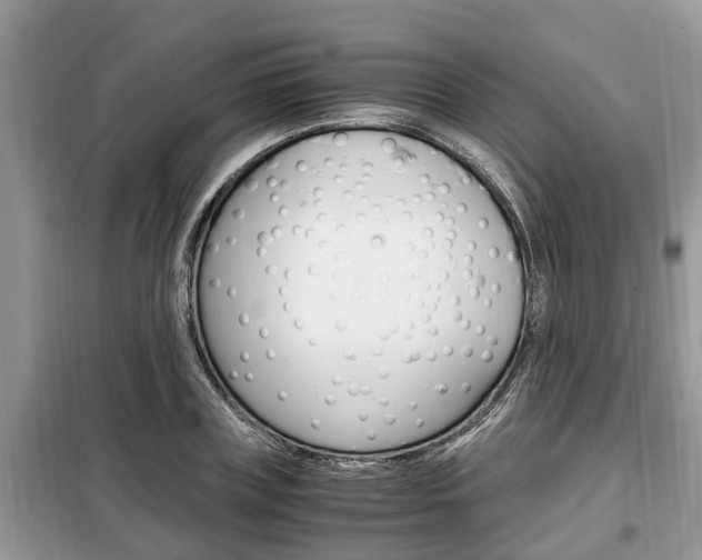 X0000099290835200805020731