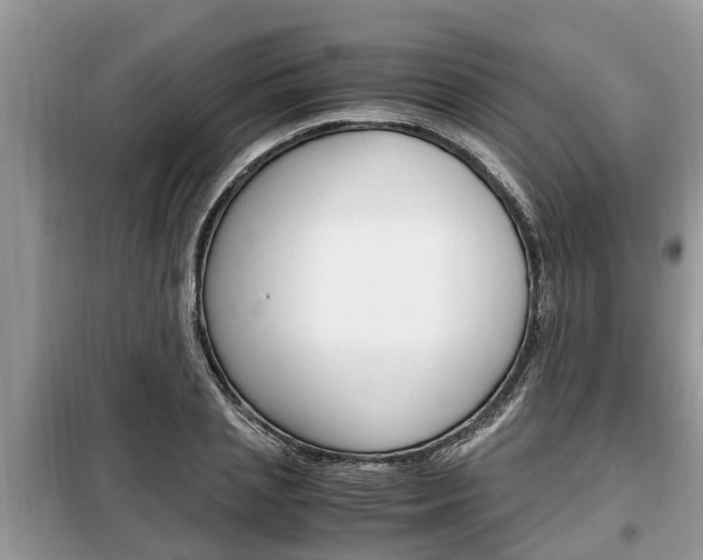 X0000099290837200805020731