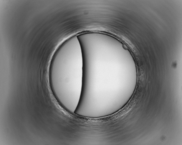 X0000099290840200805020731