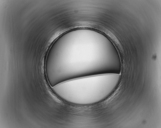 X0000099290842200805020731