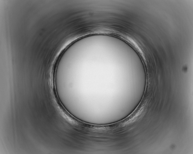 X0000099290843200805020731