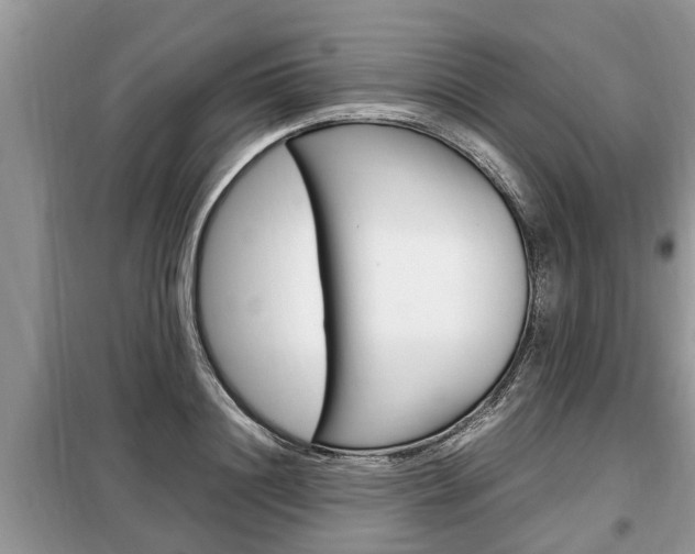 X0000099290844200805020731