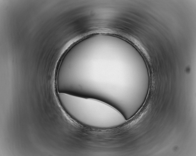 X0000099290845200805020731