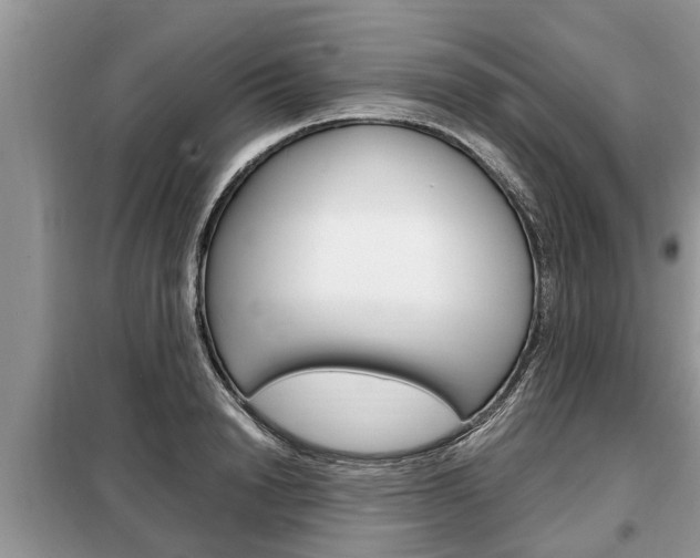 X0000099290846200805020731
