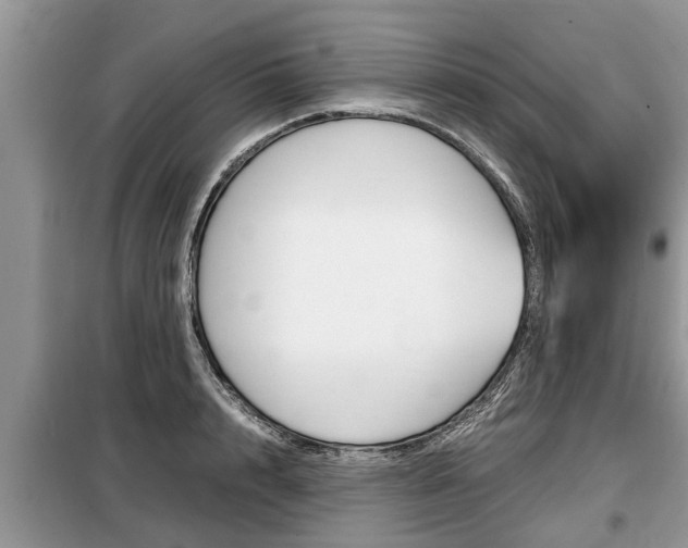X0000099290848200805020732