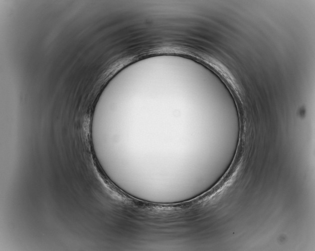 X0000099290849200805020732