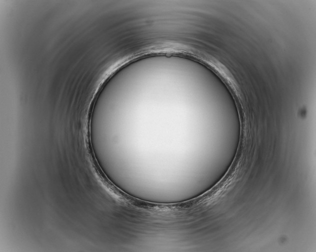 X0000099290850200805020732