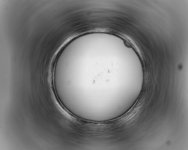 X0000099290851200805020732