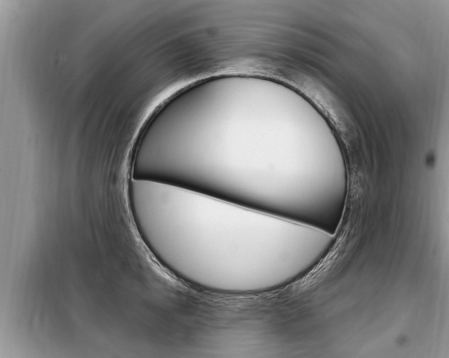 X0000099290854200805020732