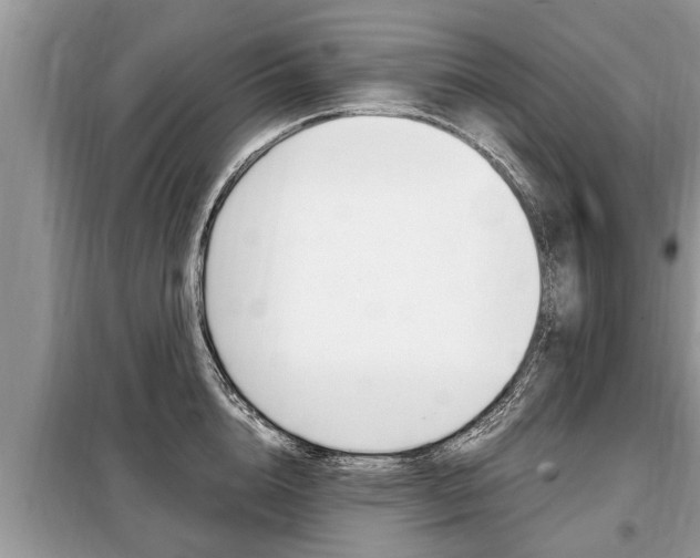 X0000099290856200805020732