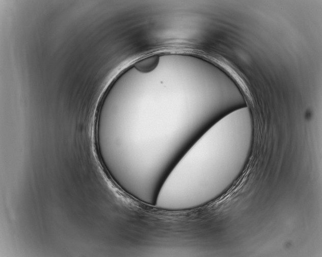 X0000099290861200805020732