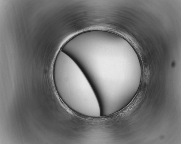 X0000099290862200805020732