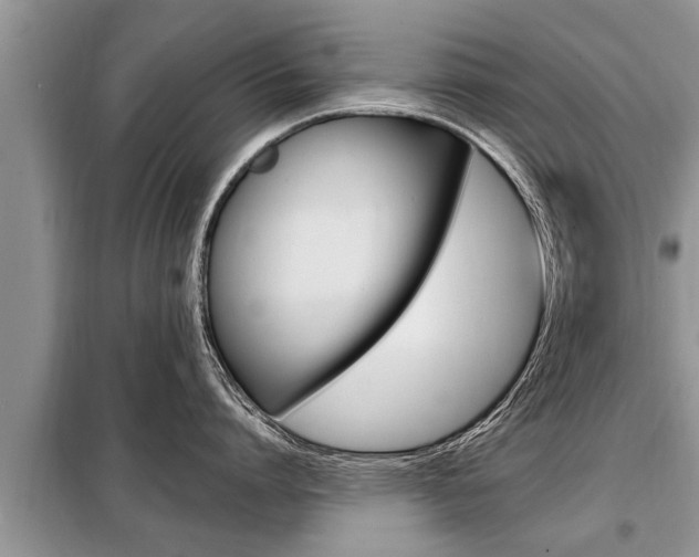 X0000099290864200805020732