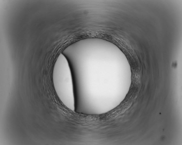 X0000099290865200805020731