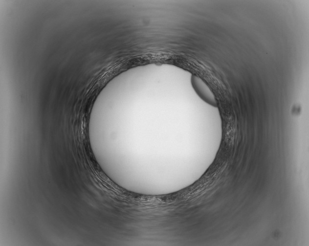 X0000099290866200805020731