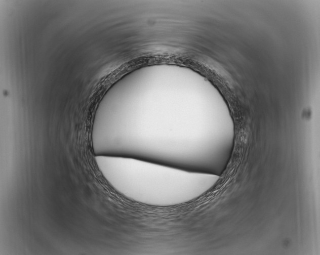 X0000099290869200805020731