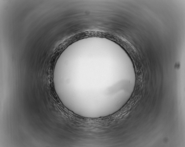 X0000099290870200805020731