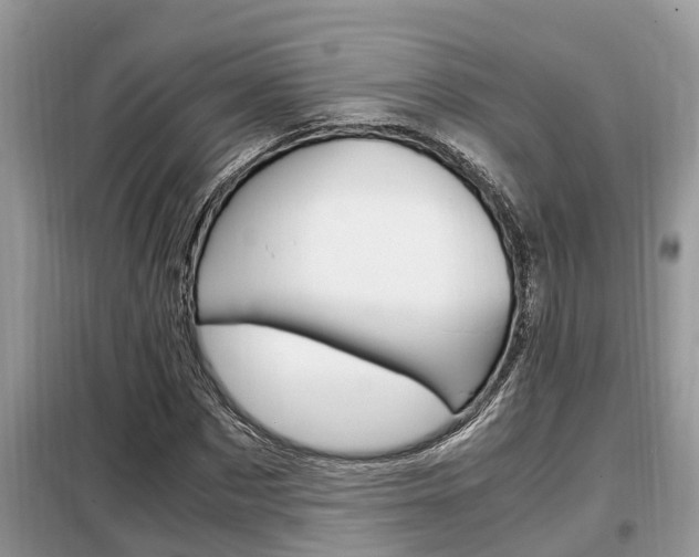 X0000099290873200805020731