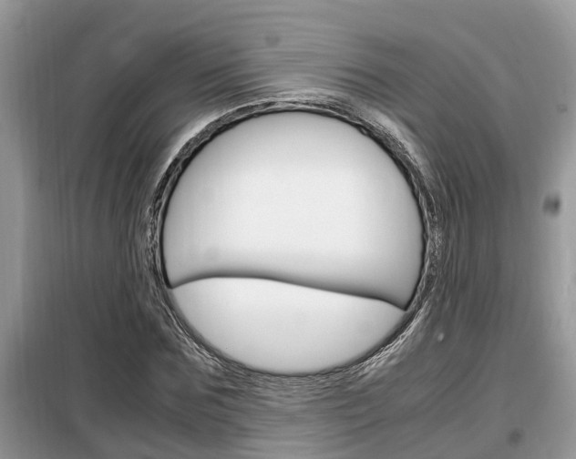 X0000099290875200805020731