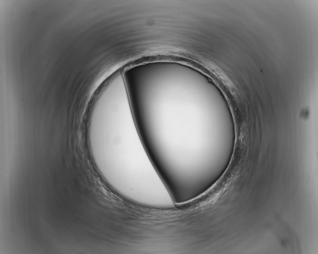 X0000099290877200805020731
