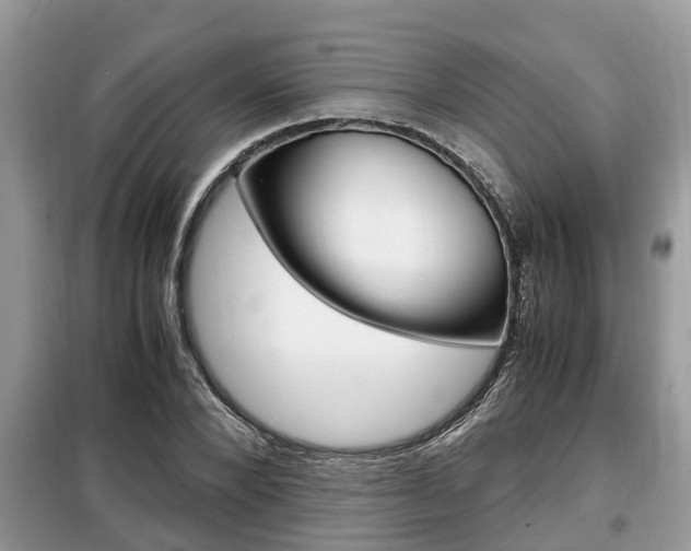 X0000099290880200805020731