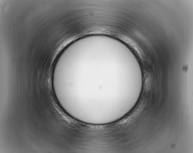 X0000099290882200805020731