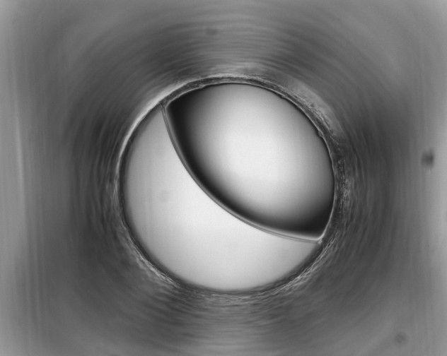 X0000099290884200805020731