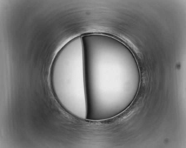 X0000099290885200805020731