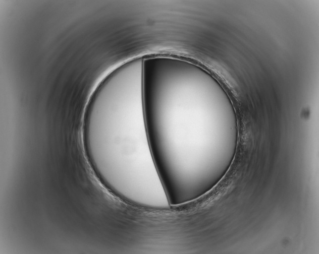 X0000099290888200805020731