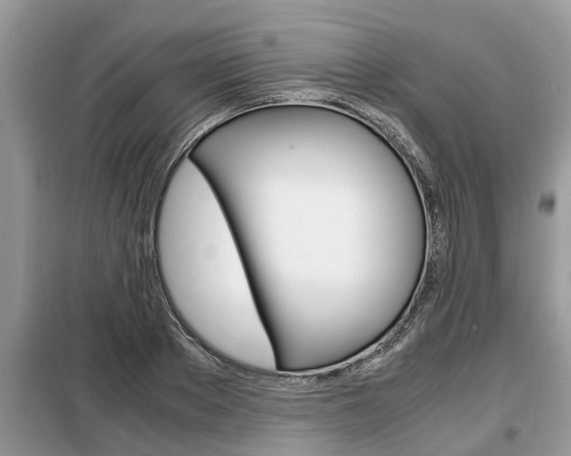 X0000099290889200805020731