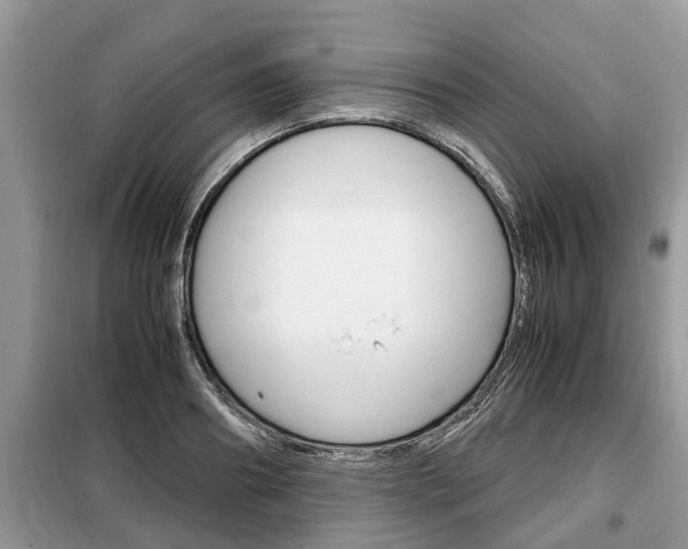 X0000099290890200805020731