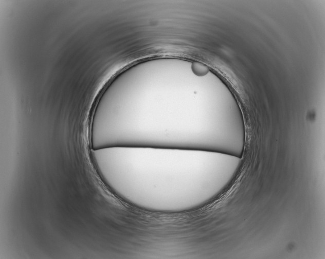 X0000099290891200805020731