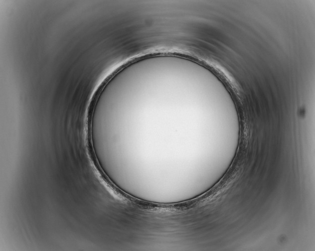 X0000099290894200805020730