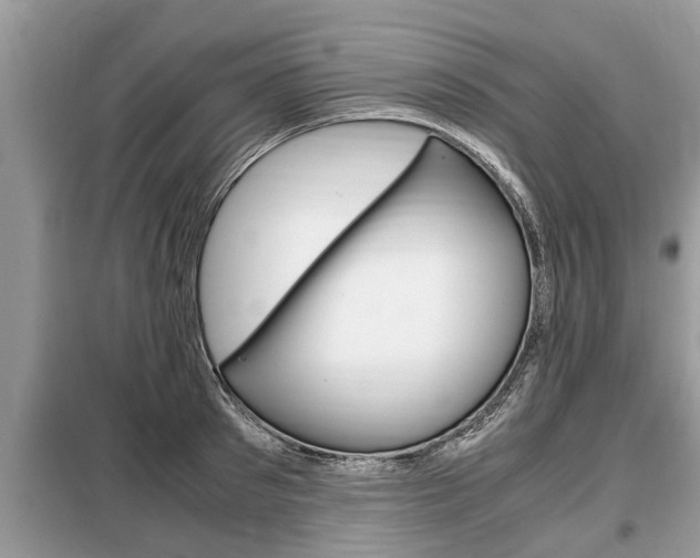 X0000099290897200805020730