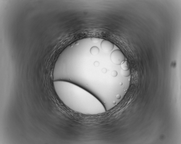 X0000099290913200805020729