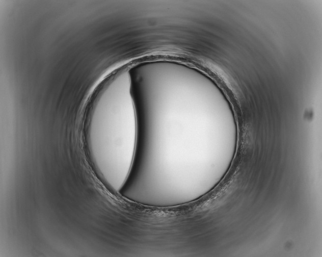 X0000099290923200805020730