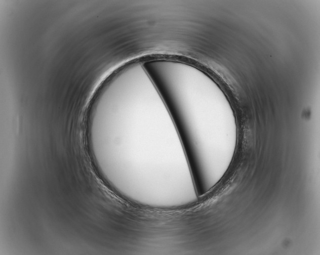 X0000099290926200805020730