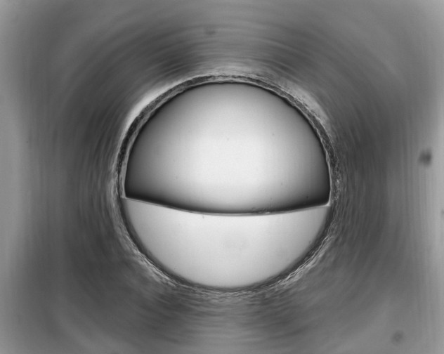 X0000099290928200805020730