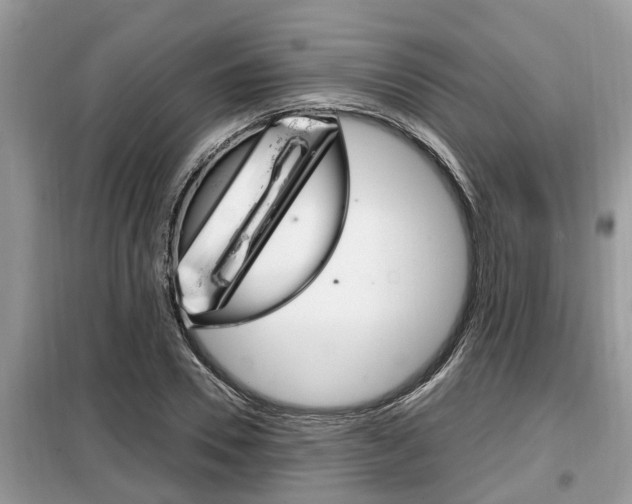 X0000099290930200805020730
