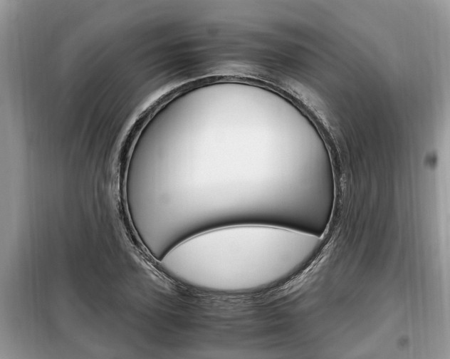 X0000099290931200805020730