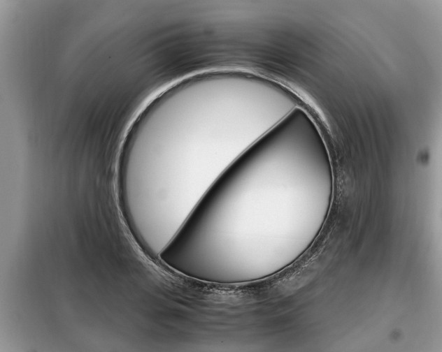 X0000099290935200805020730