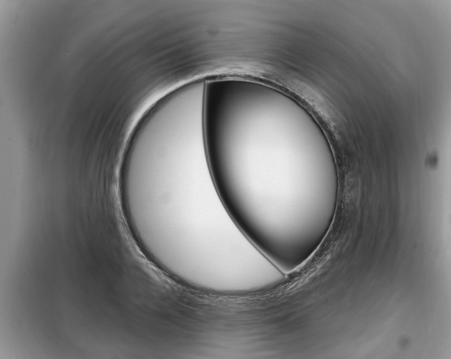 X0000099290936200805020730