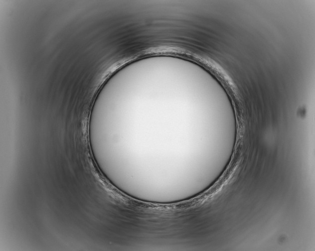 X0000099290937200805020730