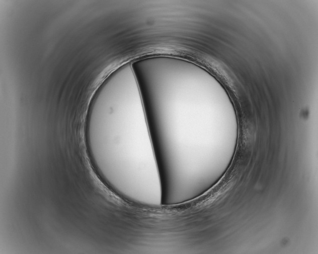 X0000099290938200805020730