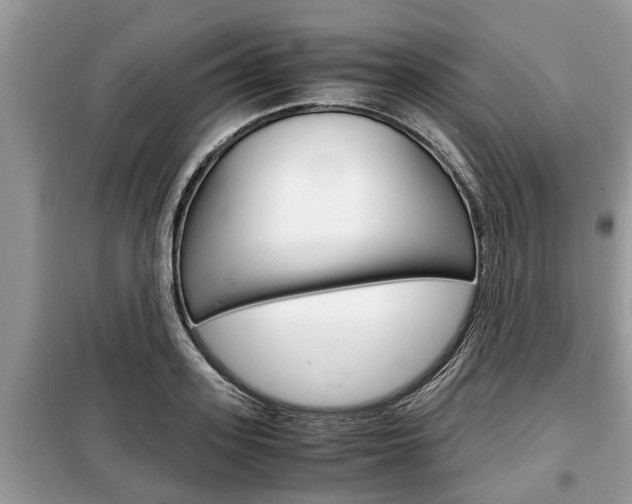 X0000099290939200805020730