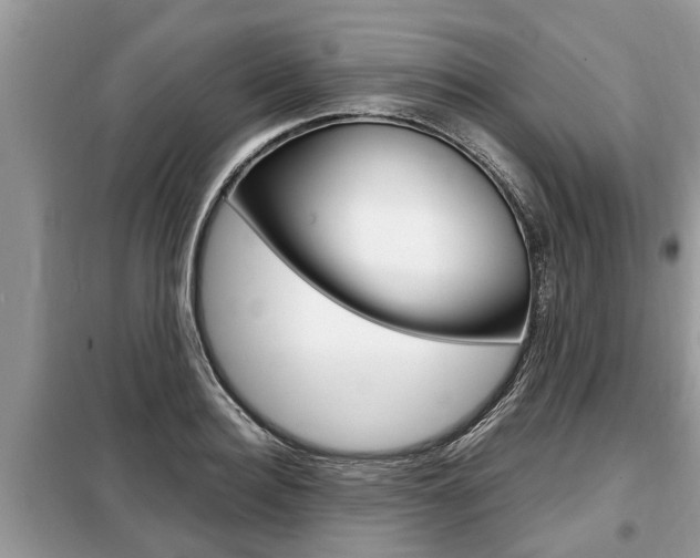 X0000099290940200805020730
