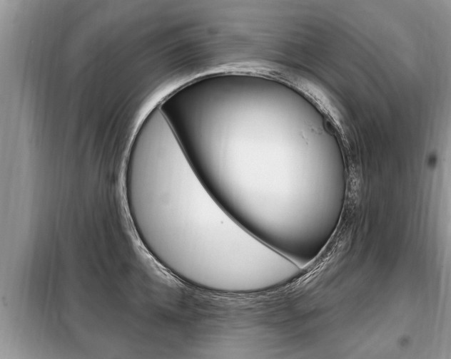 X0000099290952200805020730
