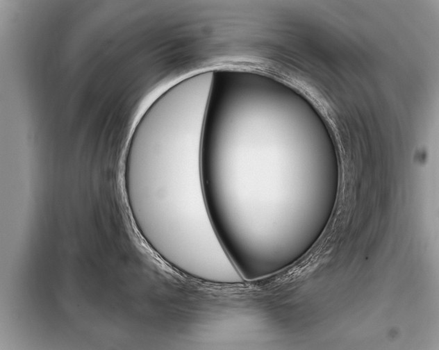 X0000099290960200805020730