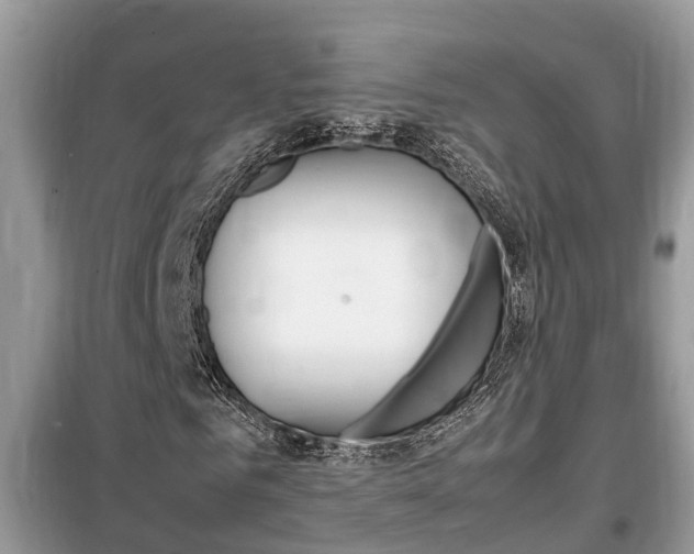 X0000099290961200805020729