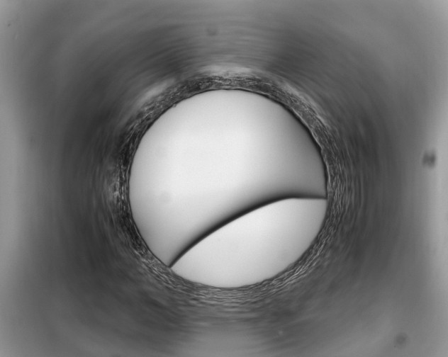 X0000099290966200805020729
